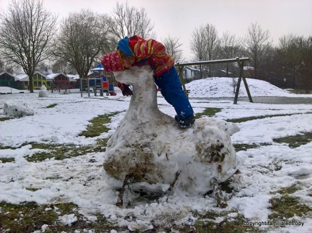 WP_20180204_15_58_31_Pro