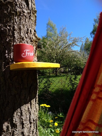 IMG_20180506_141455_036